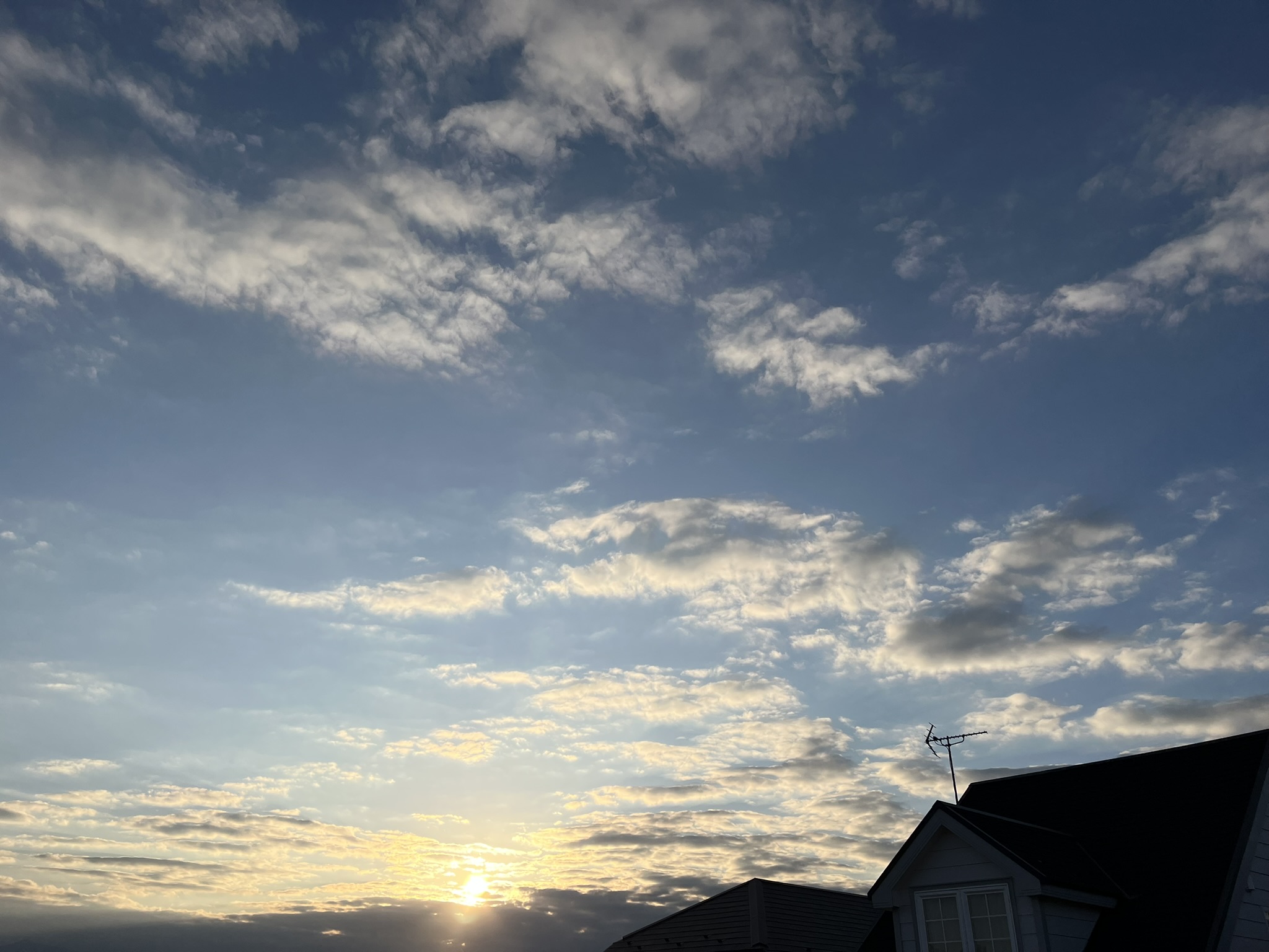 ETVOS【エトヴォス】化粧下地【検証】毛穴カバーしてくれる?崩れない?